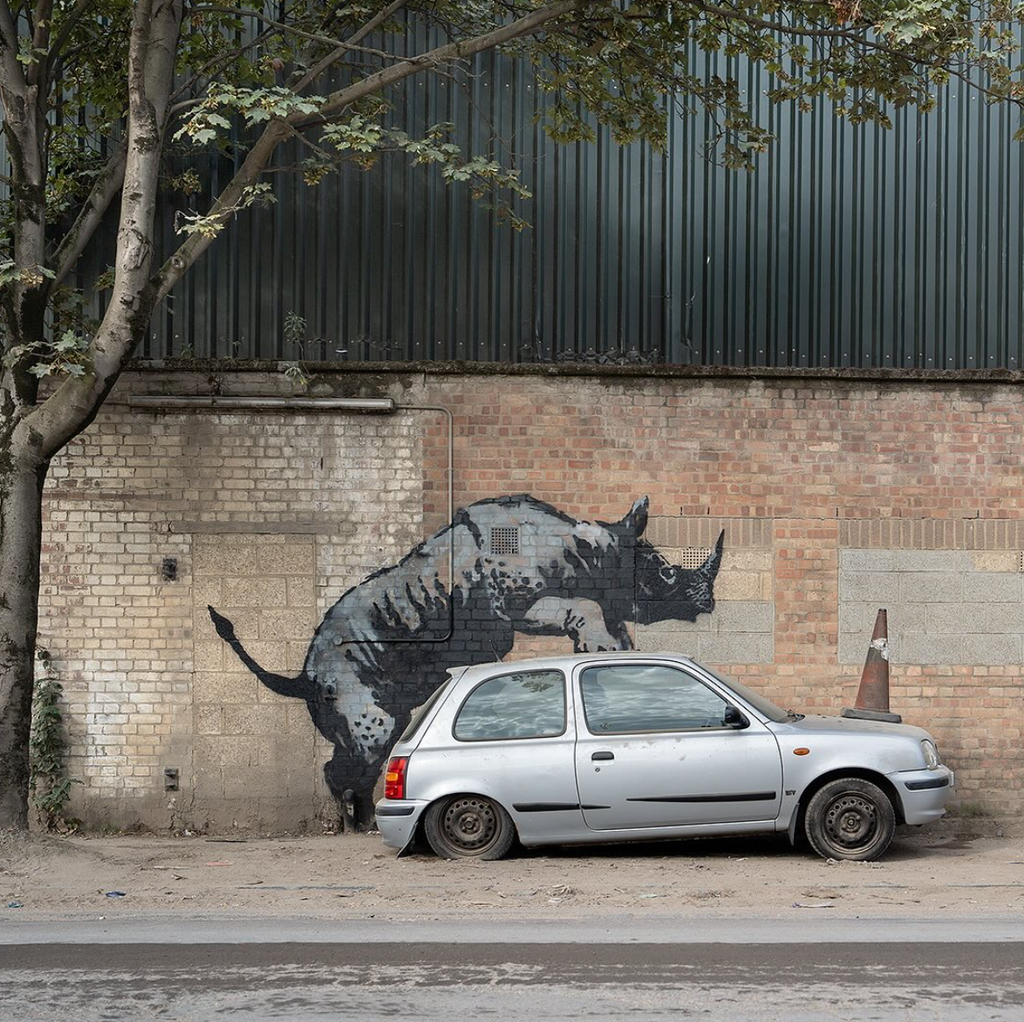 Banksy Canvas Print - Rhino