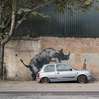 Banksy Canvas Print - Rhino