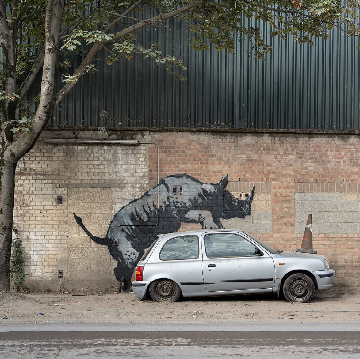 Banksy Canvas Print - Rhino