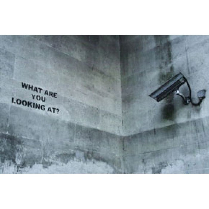 Banksy Canvas Print - What Are You Looking At