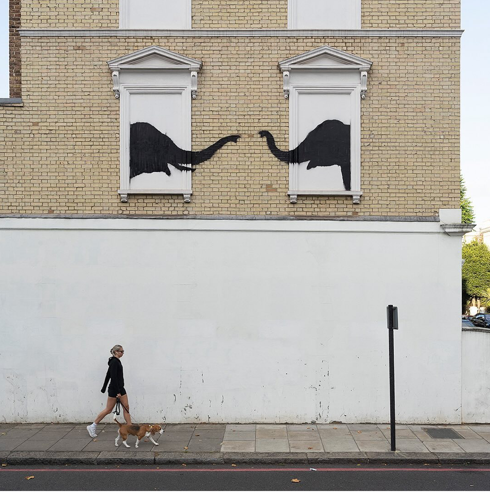Banksy Canvas Print - Elephants