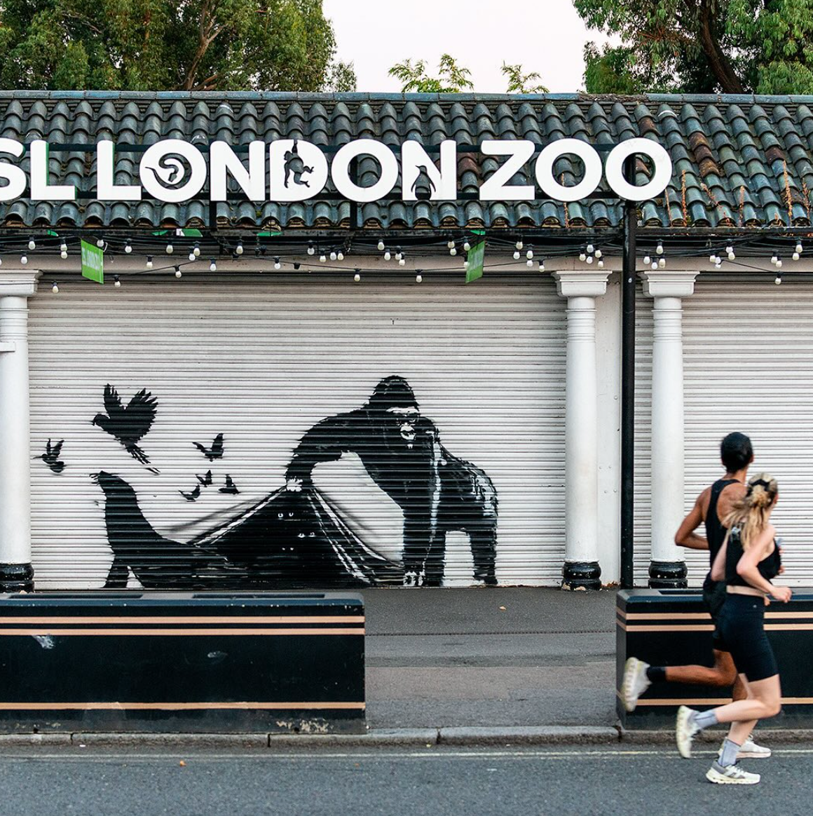 Banksy Canvas Print - London Zoo Escape