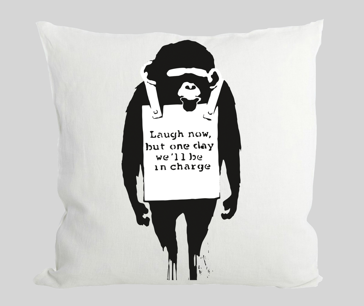 Laugh Now Monkey Cushion