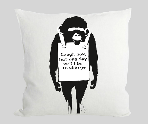 Laugh Now Monkey Cushion